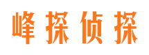 武侯侦探公司